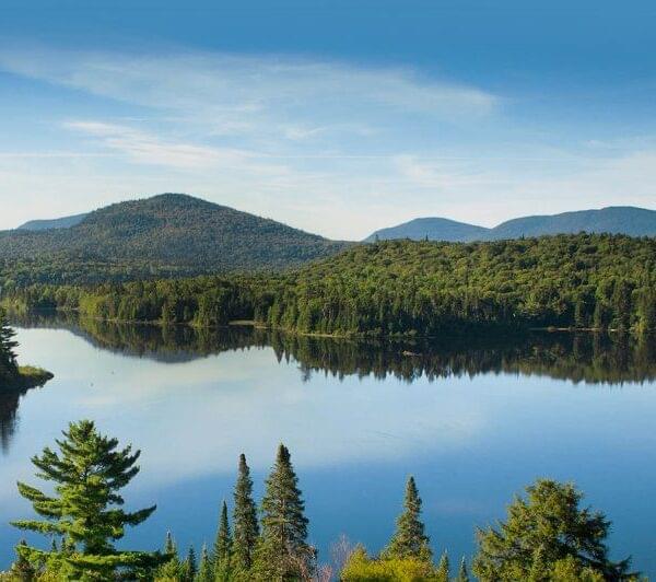 Les entreprises - Laurentides